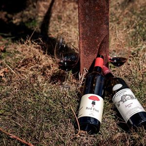 Wines with Neighbours and Friends