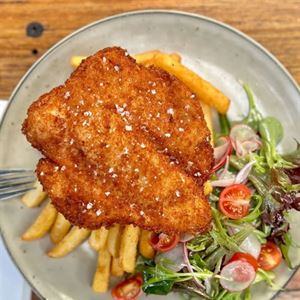 WEDNESDAY SCHNITTY