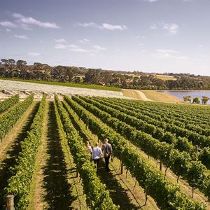 Pt. Leo Estate Vineyard & Wine Immersion
