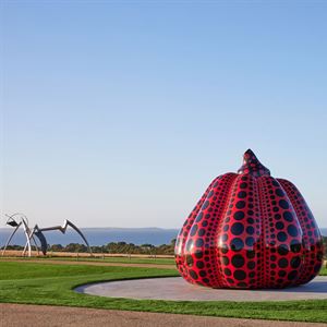 Sculpture Park Cultural Experience & Wine Tasting