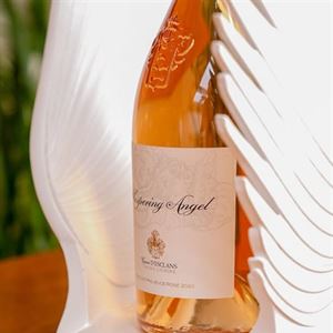 Self Revolution Lunch x Whispering Angel Rose 