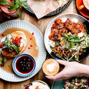 Barking Up the Right Brunch