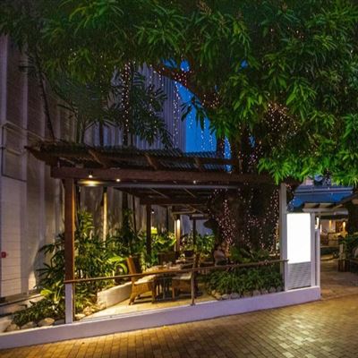 Melaleuca Port Douglas