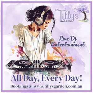 Live DJ Entertainment