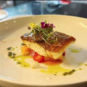 Honey Chili Salmon with Fresh Salad