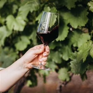 Two Hands Wine Long Lunch