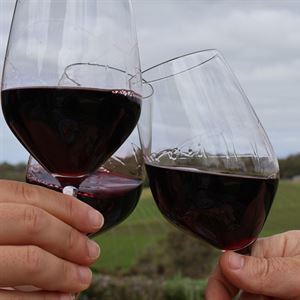 Wine And Views Worth Travelling For