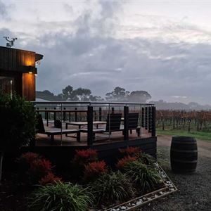 Group Dining Among the Vines