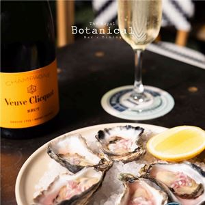 Friday $2 Oysters & $20 Champagne