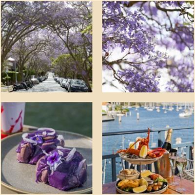 Foys Kirribilli @ Sydney Flying Squadron