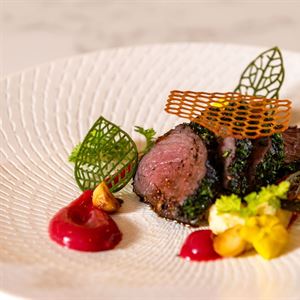 Culinary Stars Showcase - Fourth Edition