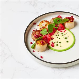 Culinary Stars Showcase - Fourth Edition