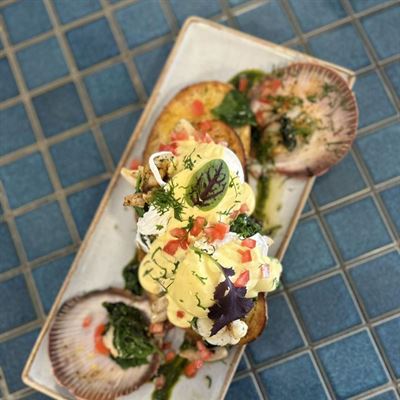 Bellyfish Cafe