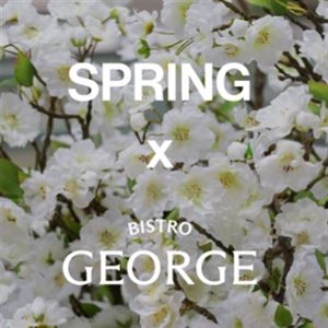 Bistro George x Spring