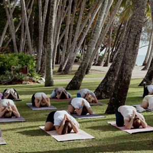 Group Wellness Retreat