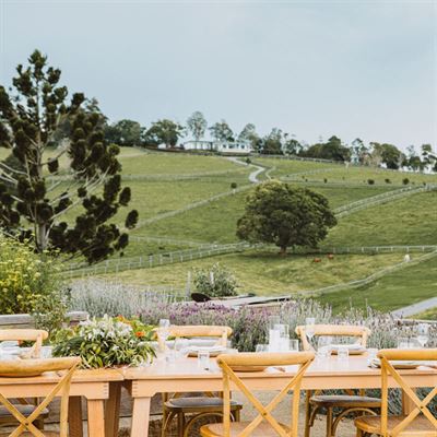 The Paddock Restaurant