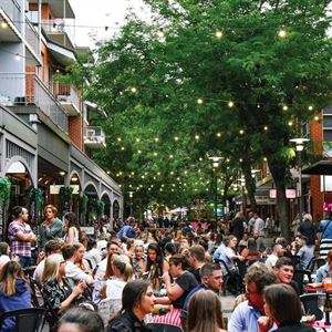 Vardon Avenue Summer Street Parties