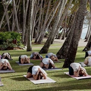 Group Wellness Retreat