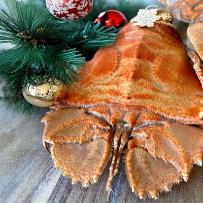 Pompano Seafood Deli