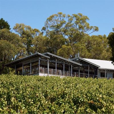 Mt Lofty Ranges Vineyard