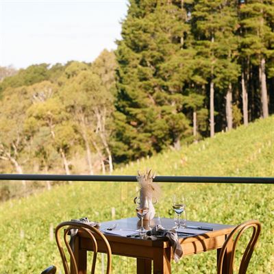 Mt Lofty Ranges Vineyard