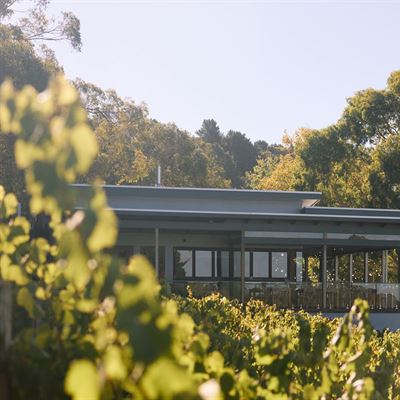 Mt Lofty Ranges Vineyard