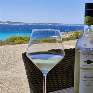 Relax and wait for the Dolphin Display