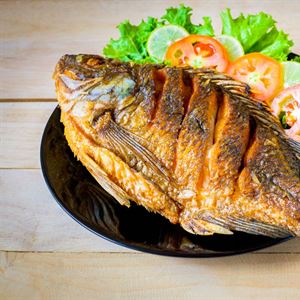 When Size Matters, Our 1kg Tilapia is Here to Impress