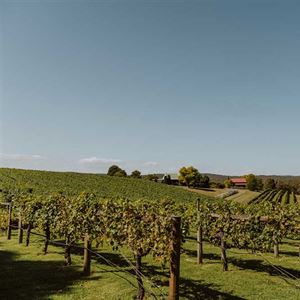 New Year’s Eve at Carrajung Estate