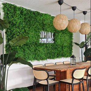 Malaysian Specialty Drinks