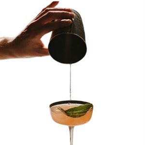 Plenty's Classic Cocktails
