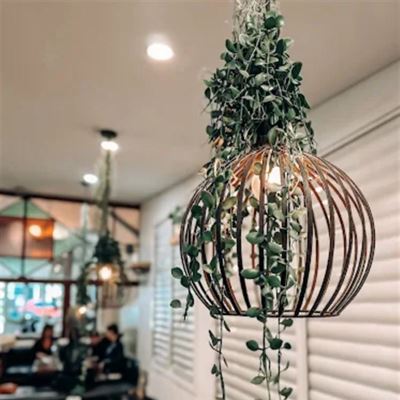 Dispensary 1908 Cafe & Bar