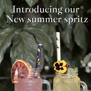 FRESH SUMMER SPRITZERS
