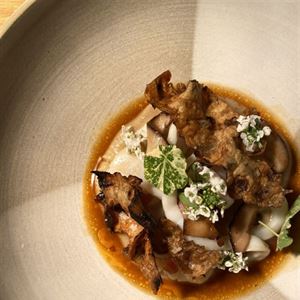 Signature Mains to Savour