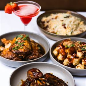 Signature Dumplings & Bites