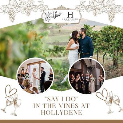 Vines Restaurant at Hollydene Estate