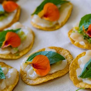 Australian Open Racquet Club