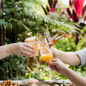 Valentine’s Day Special Dinner