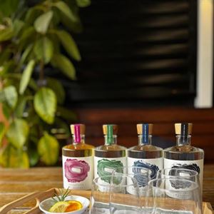Wine and Gin Tasting Flights