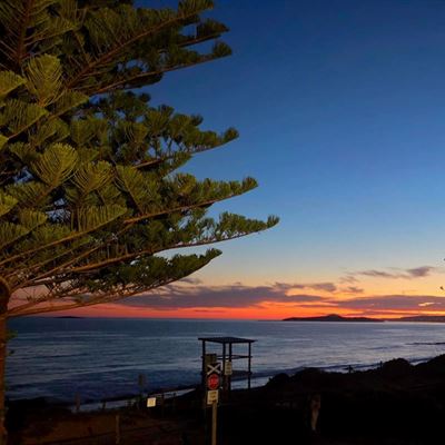 The Chiton Restaurant