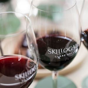 Wine Tasting & Small Plates