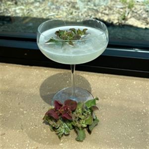 Cocktail of the Month: Ice Bloom