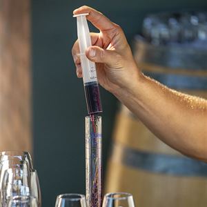 Personalized Winemaking Experience