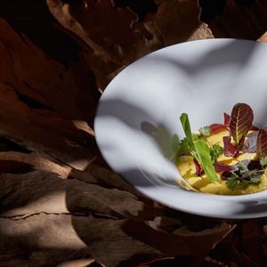 An invitation to discover Australia's native flavours