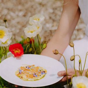 7-Course Weekend Tasting Experience