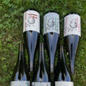 Lucy Margaux Wines at F&M