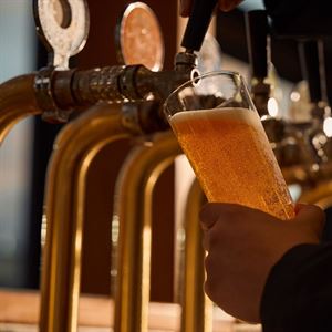 Friday Nights Above the City