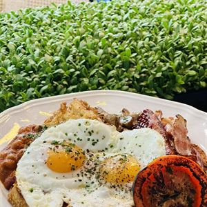 Our Breakfast, Your Morning Treat