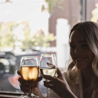 Elaia Greek Cafe & Restaurant