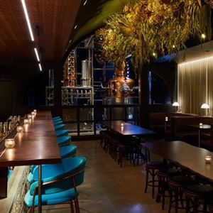 Signature Drinks, Stylish Vibes